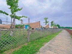 -栖露营camping·天幕烧烤·团建拓展·采摘营地