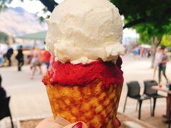 -Patagonia Chocolates(皇后镇店)