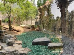 -北京野生动物园