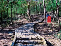 -上海佘山国家森林公园天马山园
