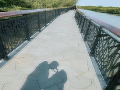 -东寨港红树林旅游区