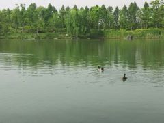 android_upload_pic-上海怡沁园度假酒店