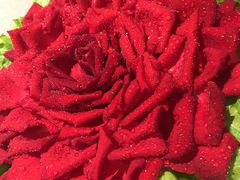 -海底捞火锅(青悦城店)