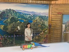 -燕塞湖鸟语林景区