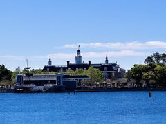 -奥兰多迪士尼动物王国乐园