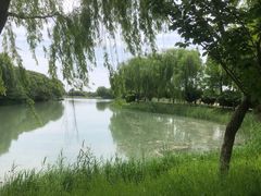-广富林郊野公园