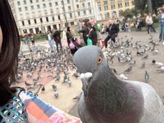 -加泰罗尼亚广场