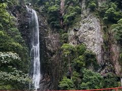-旗山国家森林公园