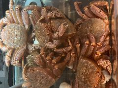 -璞御·海鲜·雪花牛肉局(宾水西道店)