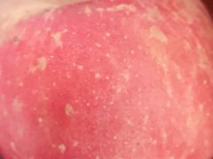 -美味居(古城店)