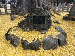 -医王山·飞騨国分寺