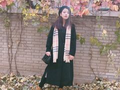 -三里屯东五街银杏大道