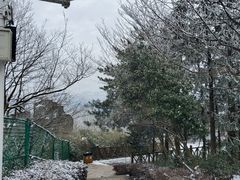 -江南天池