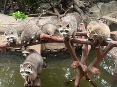 -长鹿旅游休博园