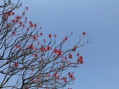 -福建鲤鱼洲酒店