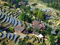 -紫鹊界梯田景区