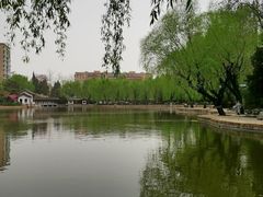 -团结湖公园
