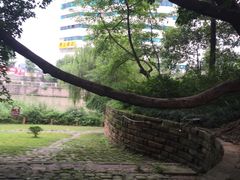 -成都市活水公园