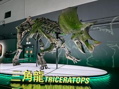 -香港科学馆