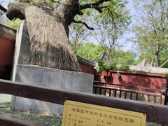 -天宁寺