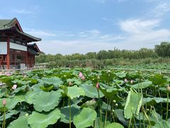 -济南大明湖景区