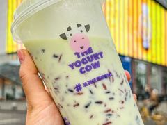 -一只酸奶牛(春熙路店)