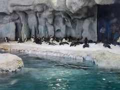 -珠海长隆海洋王国
