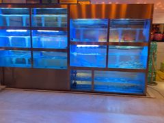 -樽宴酒楼·地道川菜·品质聚会·生日宴请