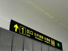 -大队长大灶鹅