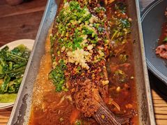 香辣炝锅鱼-树厨贵州菜(大十字店)