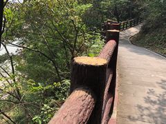 -羚羊峡古栈道森林公园