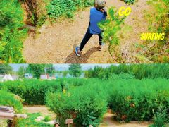 -亲兄弟真人CS团建拓展基地