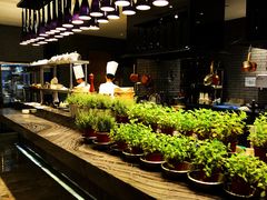 Juese_2014_3_18_009-圣丰索菲特·法国餐厅