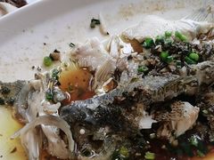 -大鸽饭(马王堆店)