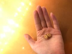 -sugarman espresso素饮糖人高新咖啡工厂