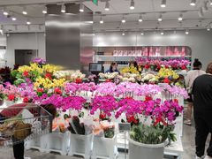 -盒马X会员店(王府井奥莱UP TOWN店)