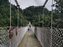 -塔云山