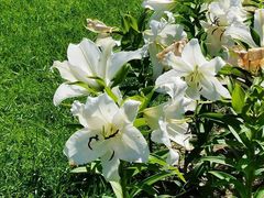 -长春公园(普阳街道)