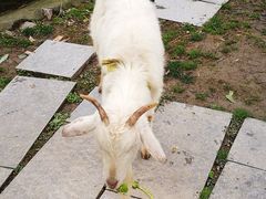 -上海滴水湖皇冠假日酒店