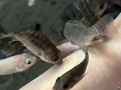 -溧阳天目湖天沐温泉