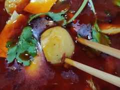-佘记全家福芋儿鸡(向阳街总店)