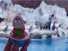 -帝企鹅自助餐厅•儿童岛•真企鹅(长隆企鹅酒店)