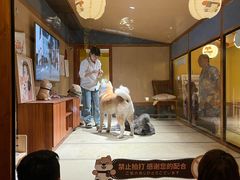 -大江户·温泉洗浴(浑南店)