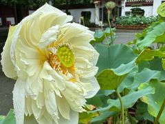 -李白纪念馆