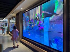 -星河湾温泉洗浴酒店