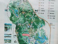 -大屏嶂森林公园