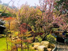 -剑河仰阿莎温泉小镇