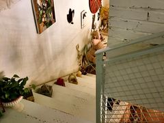 -Kitchen·Y洋厨房西餐厅(王府壹号店)