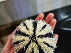 -海盗餐厅