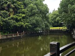 -上海千禧海鸥大酒店